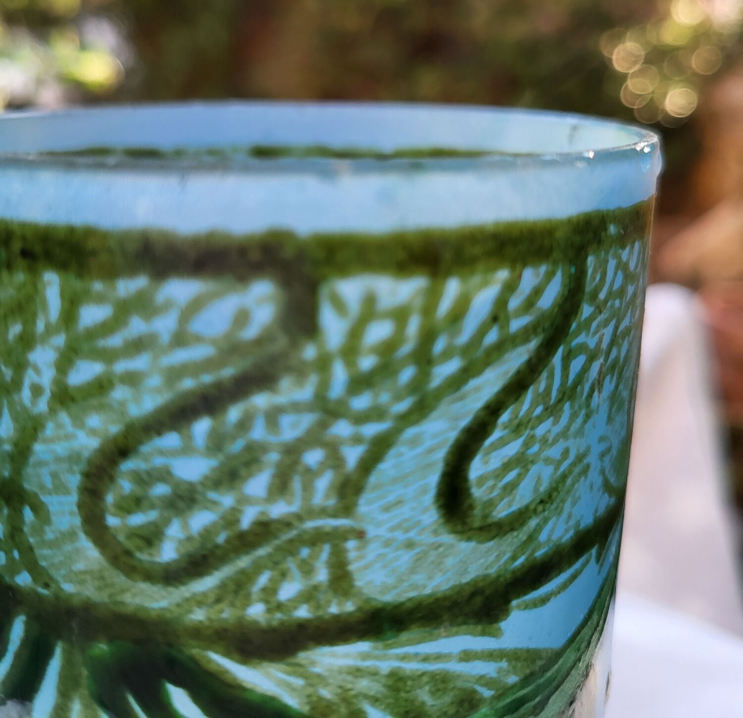 Pair of Legras art nouveau vases