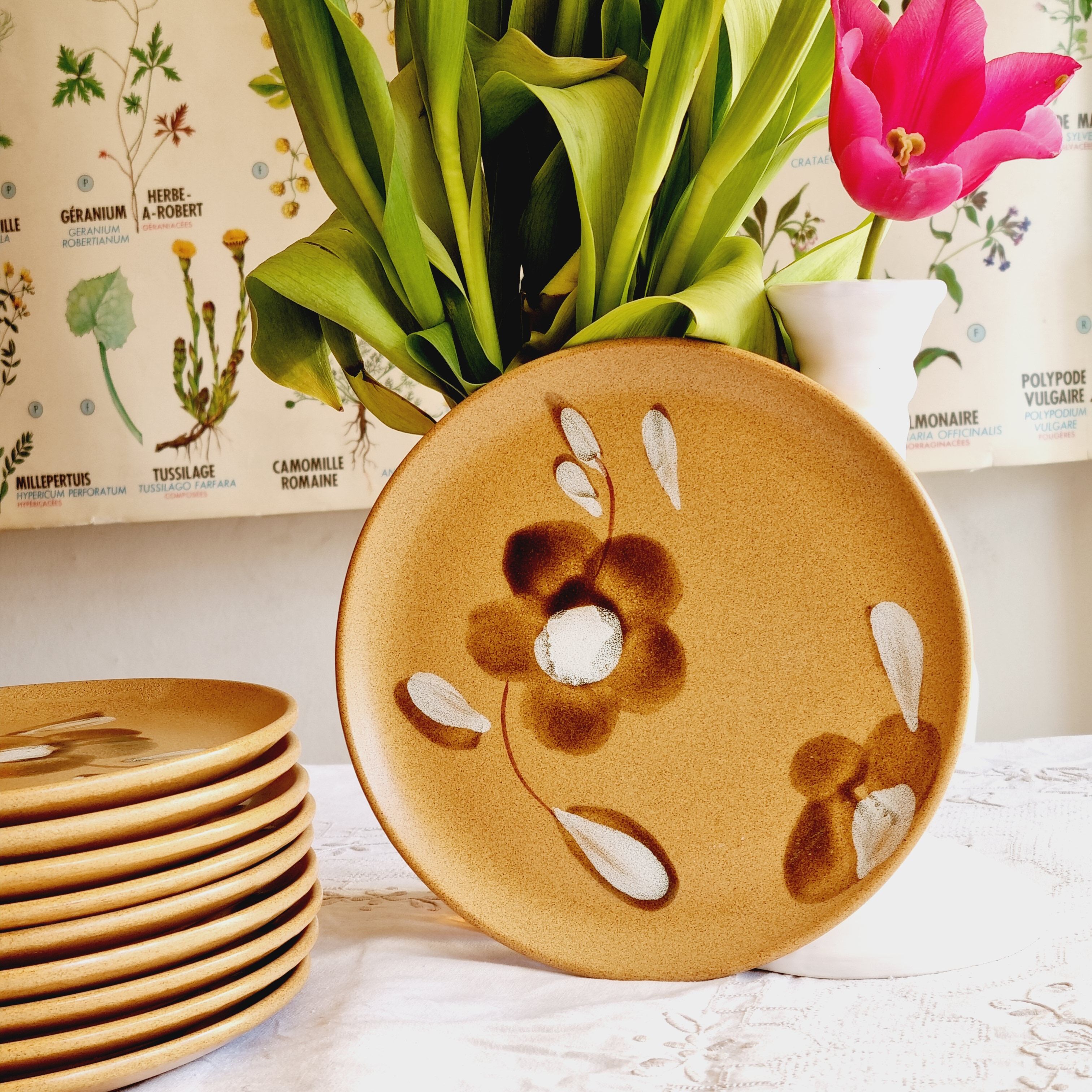 Set of 10 plates with sarreguemines sandstone desserts