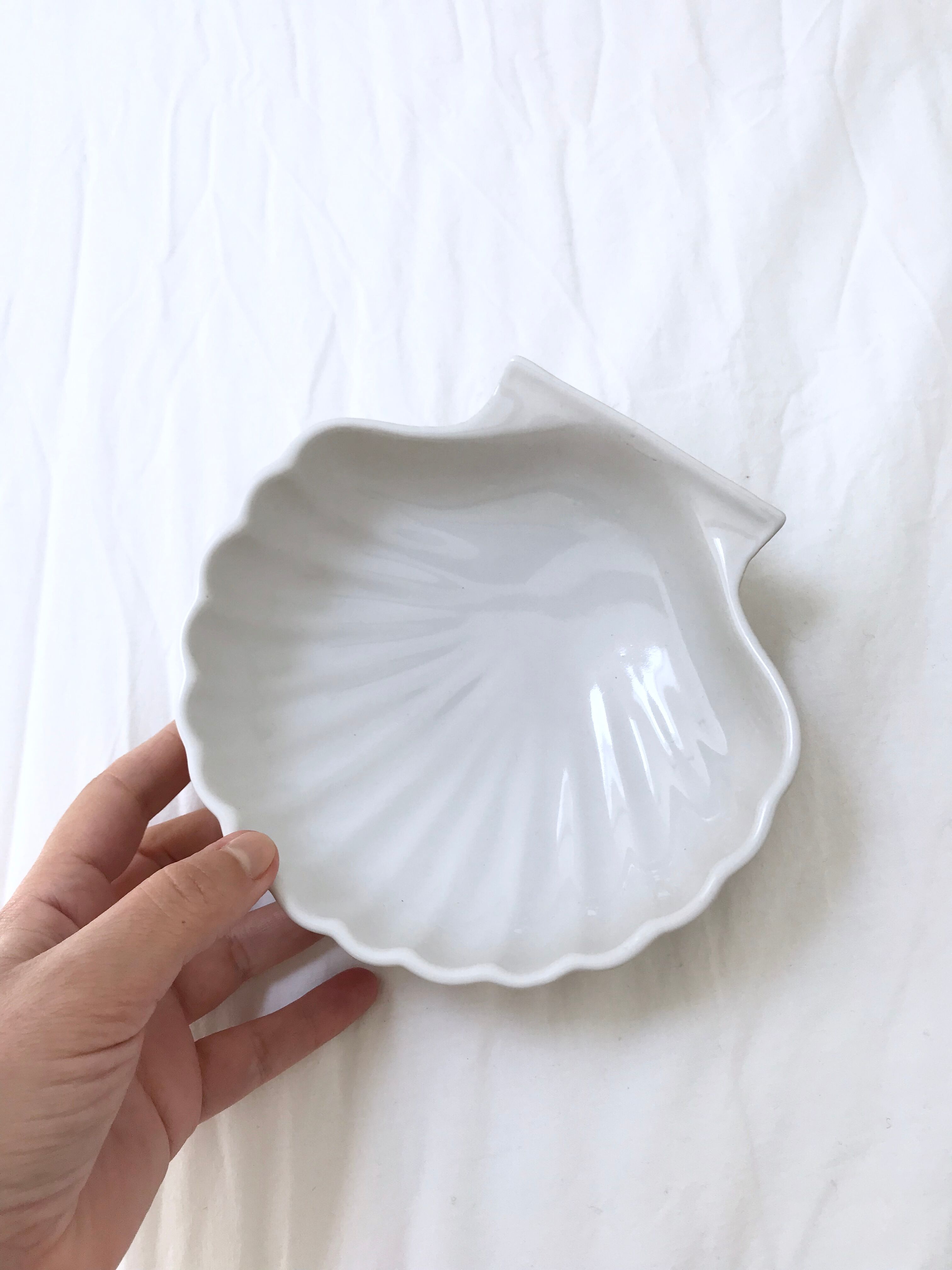 Shell ceramics