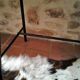 Office in Formica - 60s