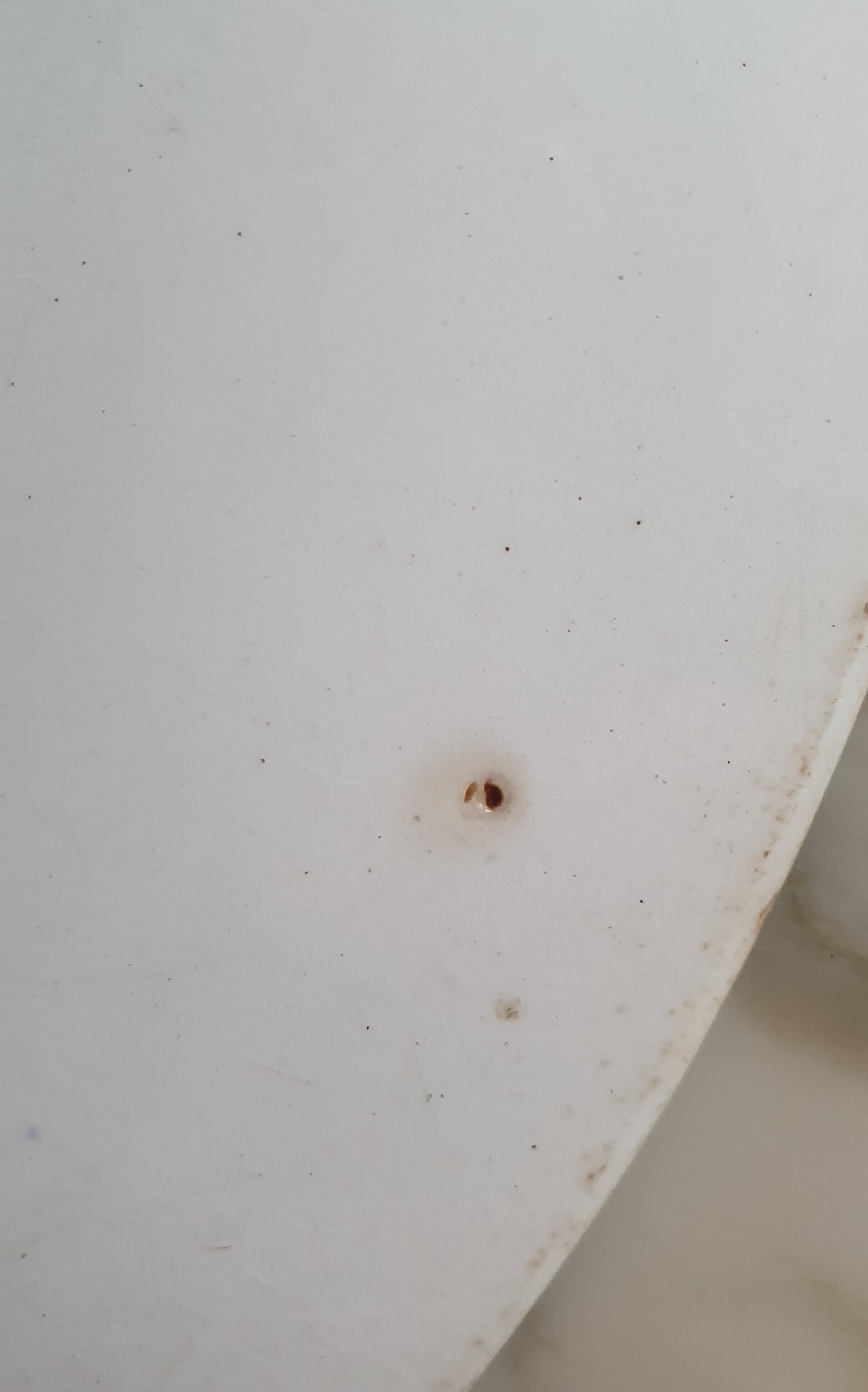 Ancient earthenware dish