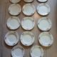 14 Terre de fer SALINS "Water Lily" plates