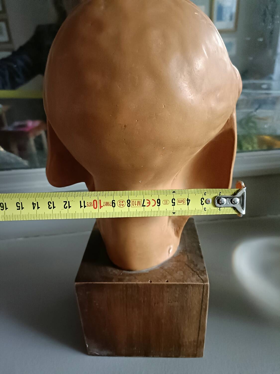 Young girl bust