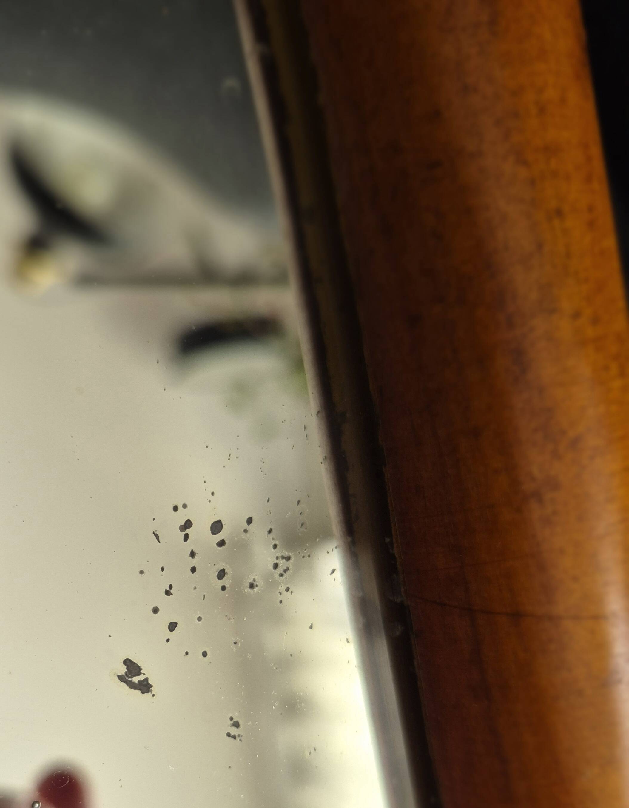 Vintage Belle Epoque Bamboo Turned Wood Mirror