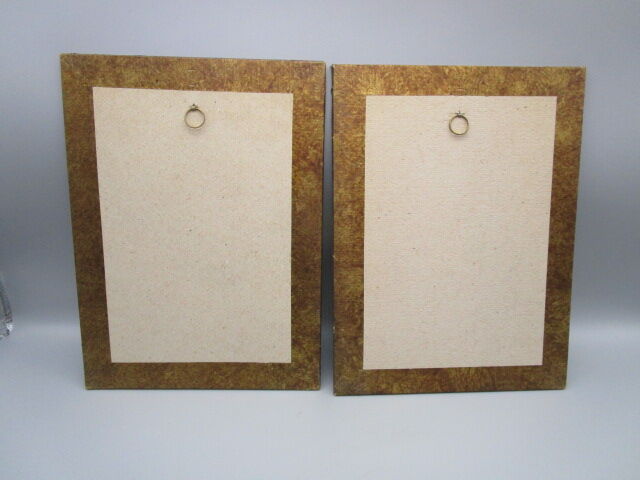 Pair of engravings of ancient birds