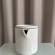 Thomas Rosenthal TC 100 porcelain teapot, designed by Hans Roericht
