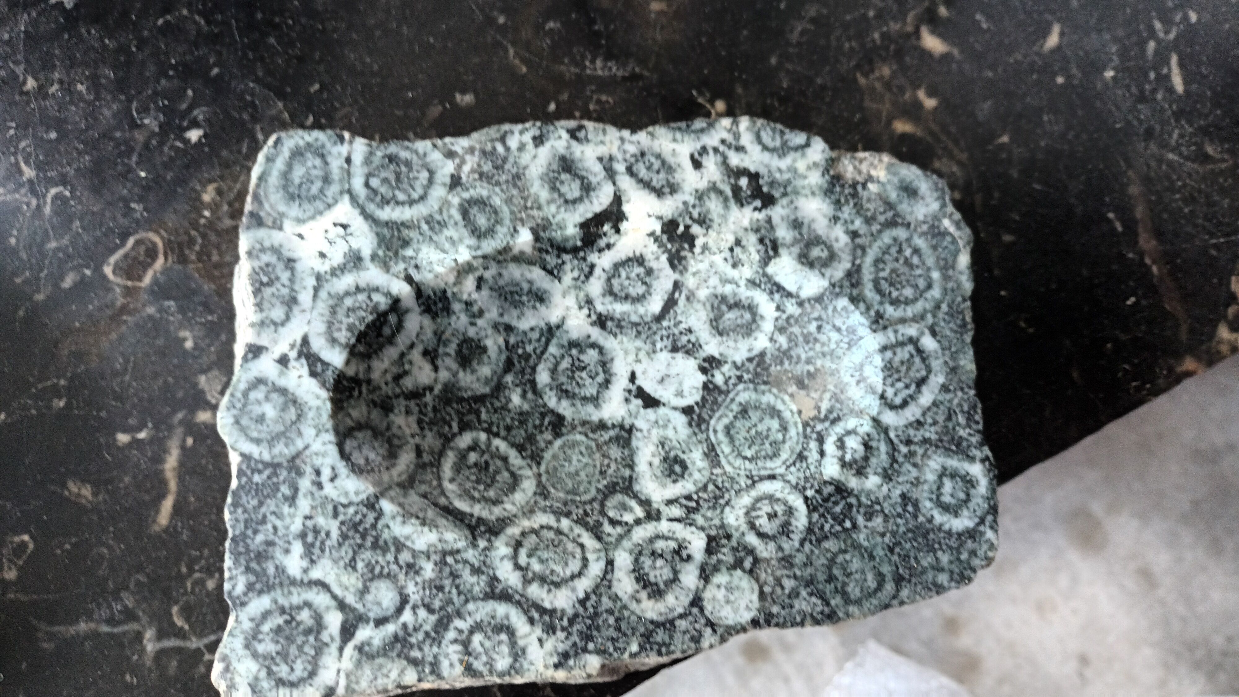 Orbicular diorite ashtray
