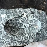 Orbicular diorite ashtray