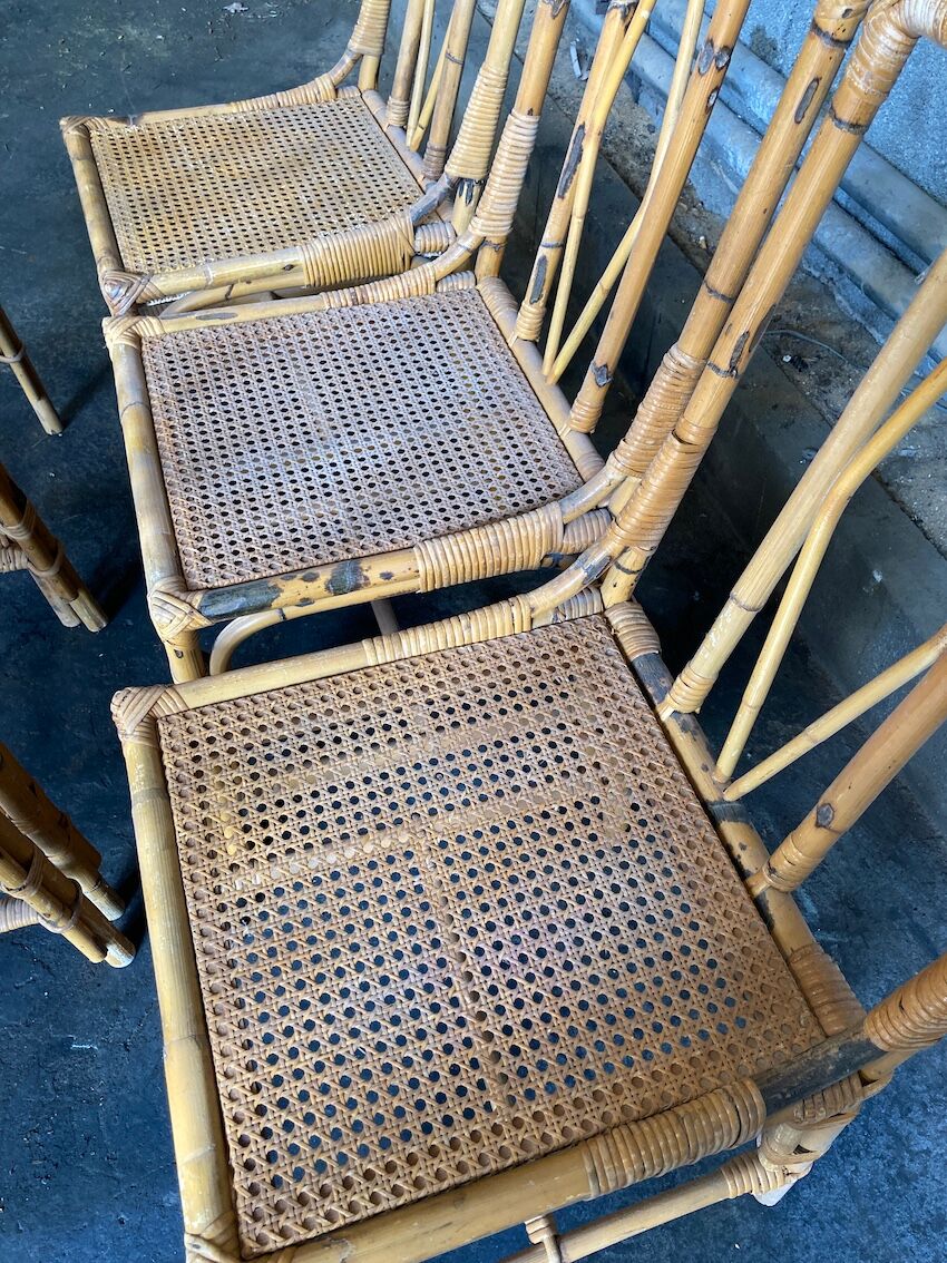 Set of 6 rattan chairs with cannate seats