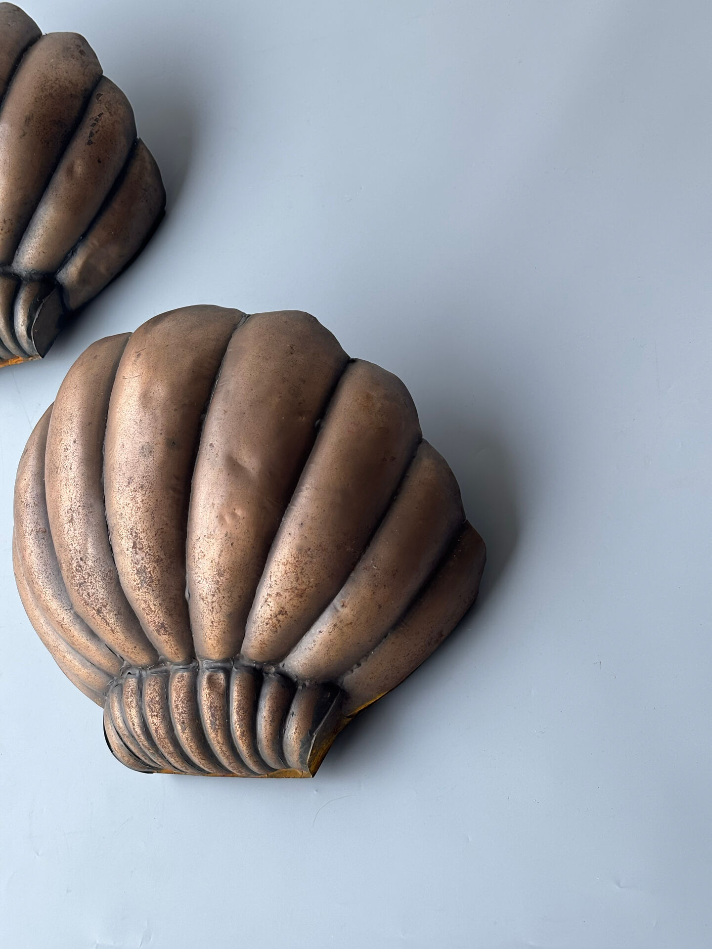 Paire d’appliques coquille Saint-Jacques 1960