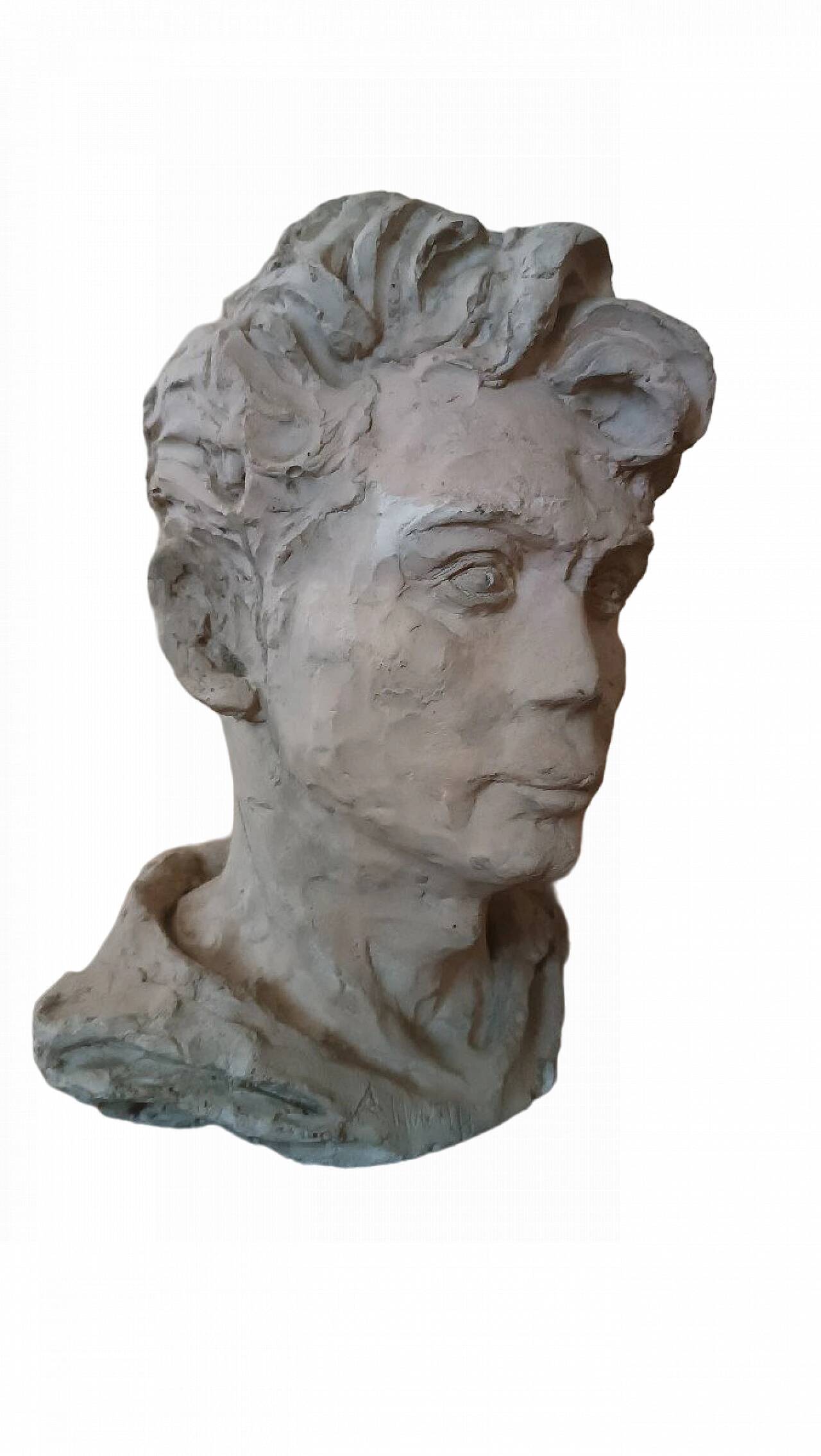 A. Novelli, male bust, plaster sculpture
