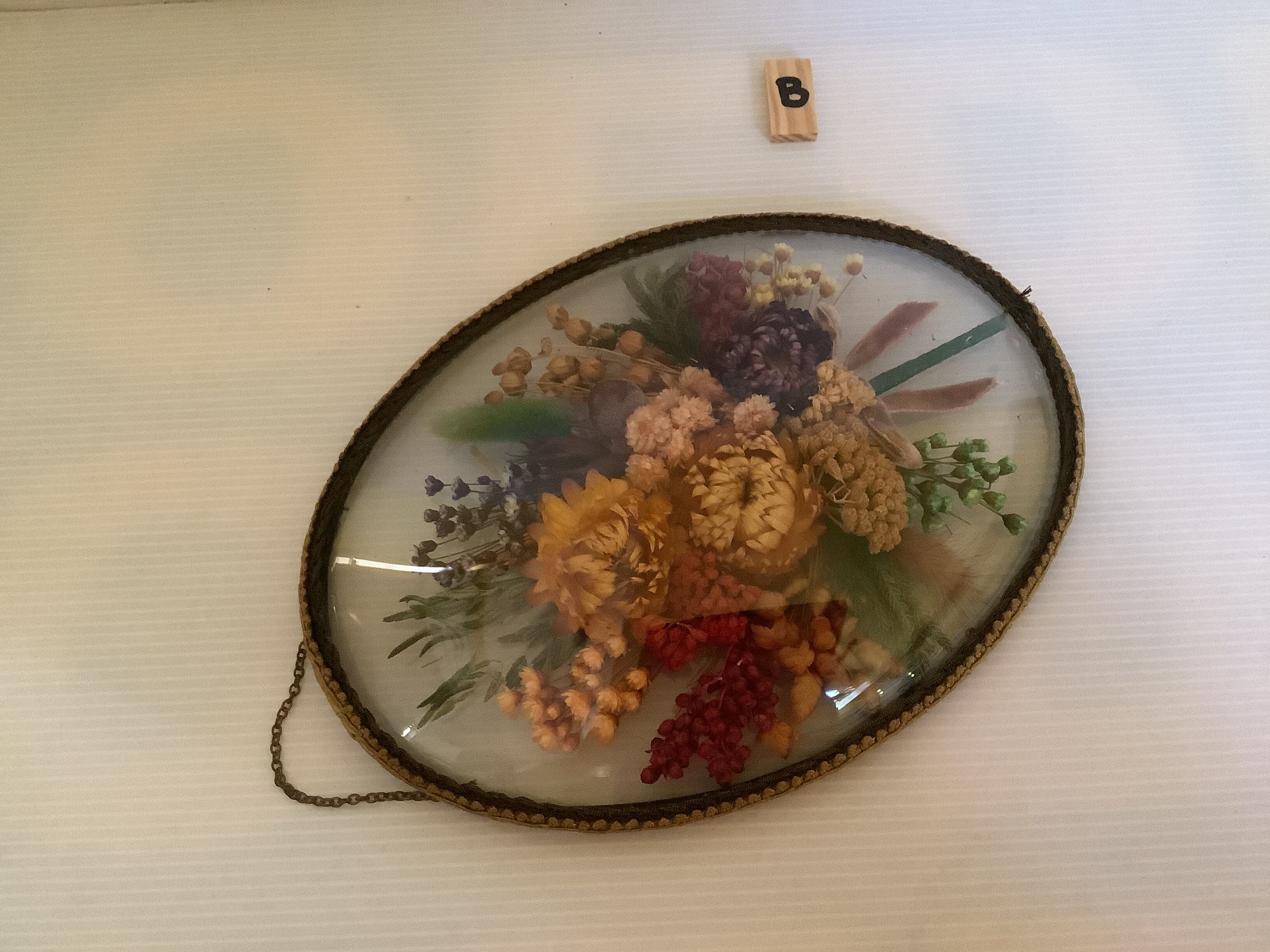 Old glass frame domed natural dried flowers