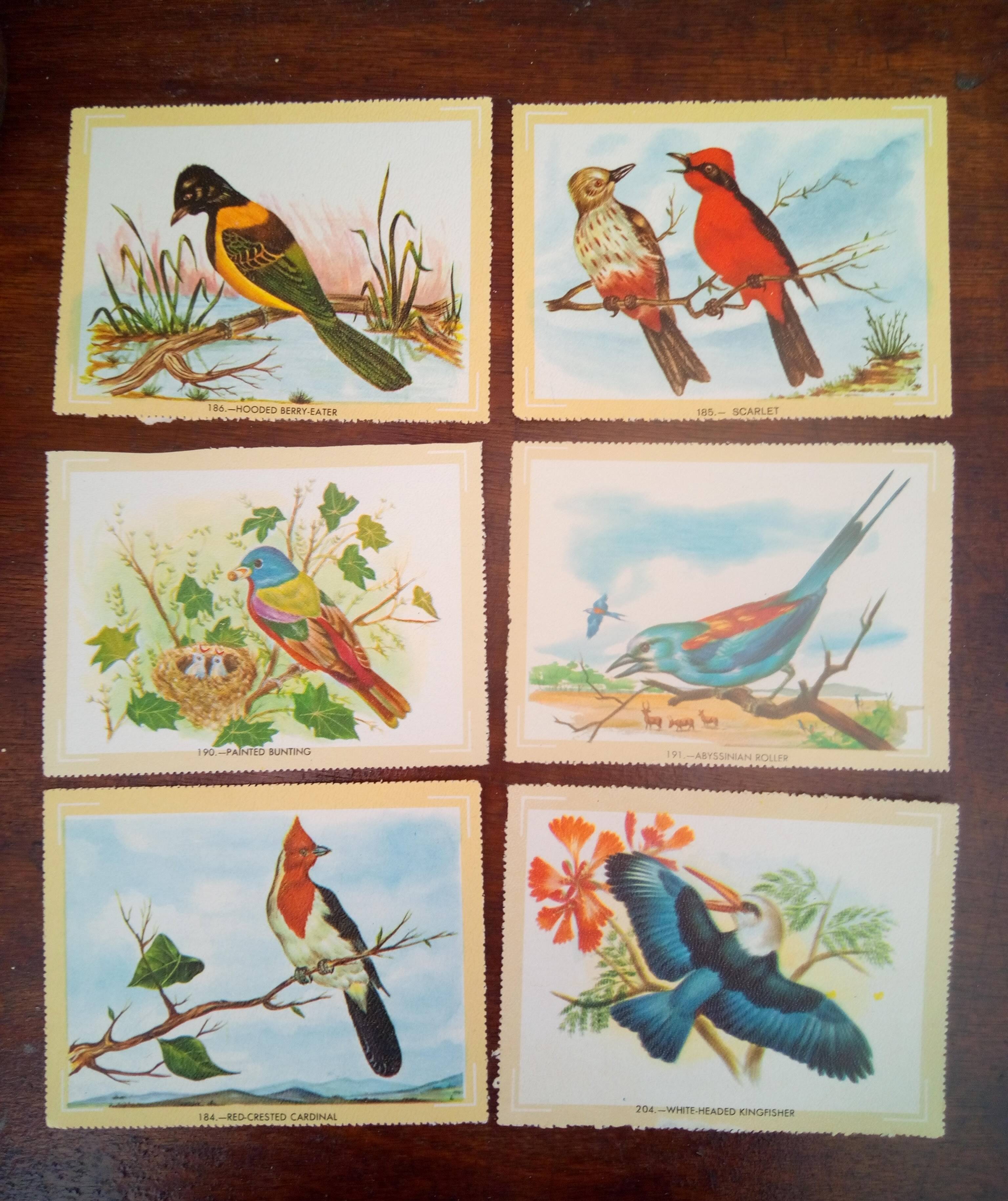 lot of zoological posters, birds, 60s