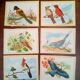 lot of zoological posters, birds, 60s