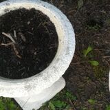 Pair of vases in reconstituted white stone