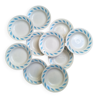 10 Amandinoise soup plates with blue oak leaves