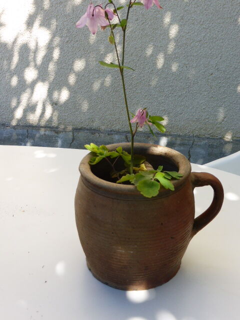 Sandstone pot with handle