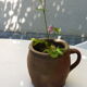 Sandstone pot with handle