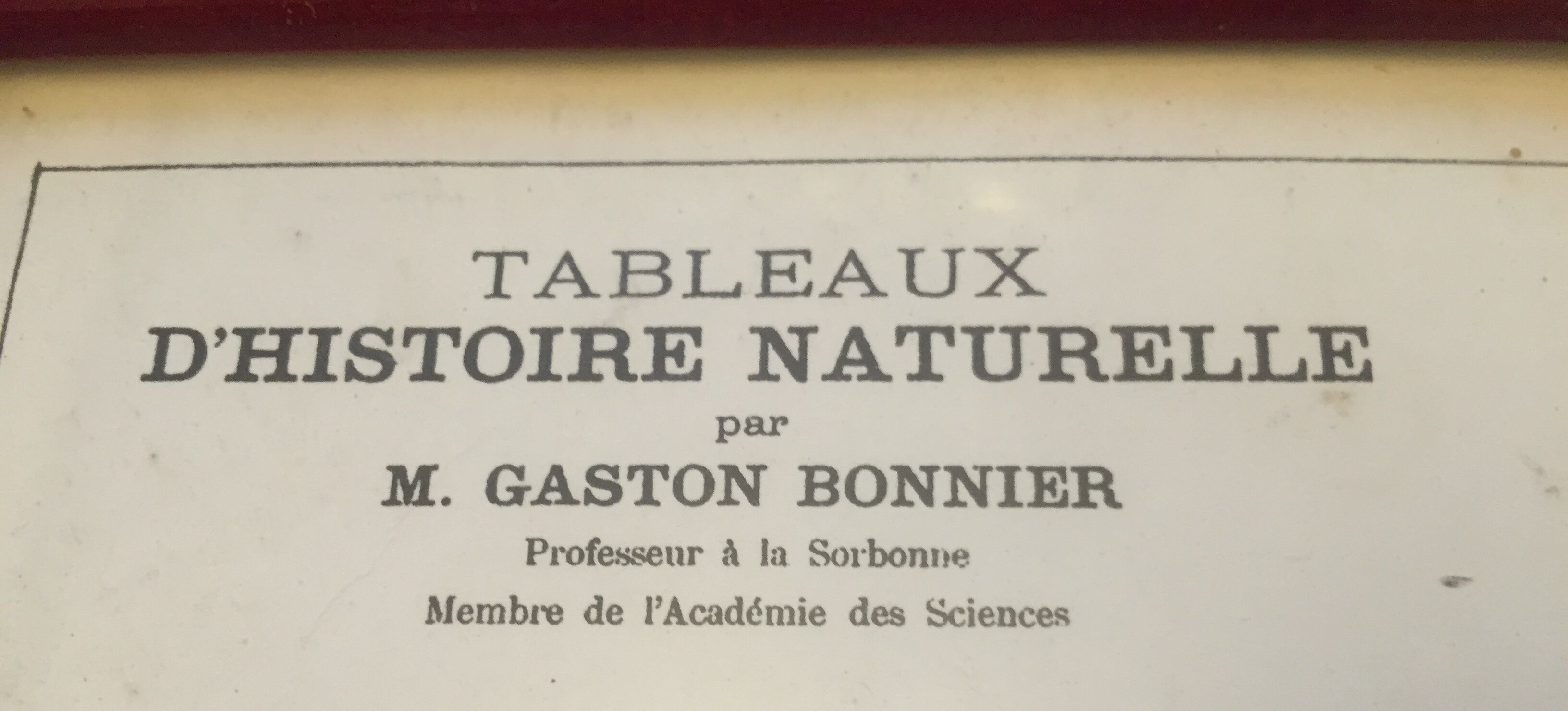 Botanical board under glass