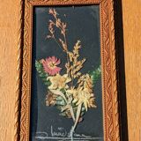 Vintage Cana of dried flowers with Edelweiss