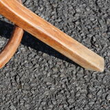 Parrot coat medium baumann beech