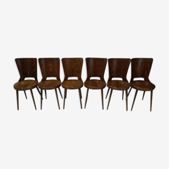 Set of 6 chairs Dove Baumann 1960