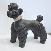 CANICHE vintage année 50.