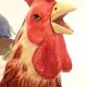 Vintage slip rooster pitcher