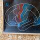 Dr. Auzoux's school poster "The brain"