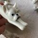 12 Art Deco porcelain knife holders