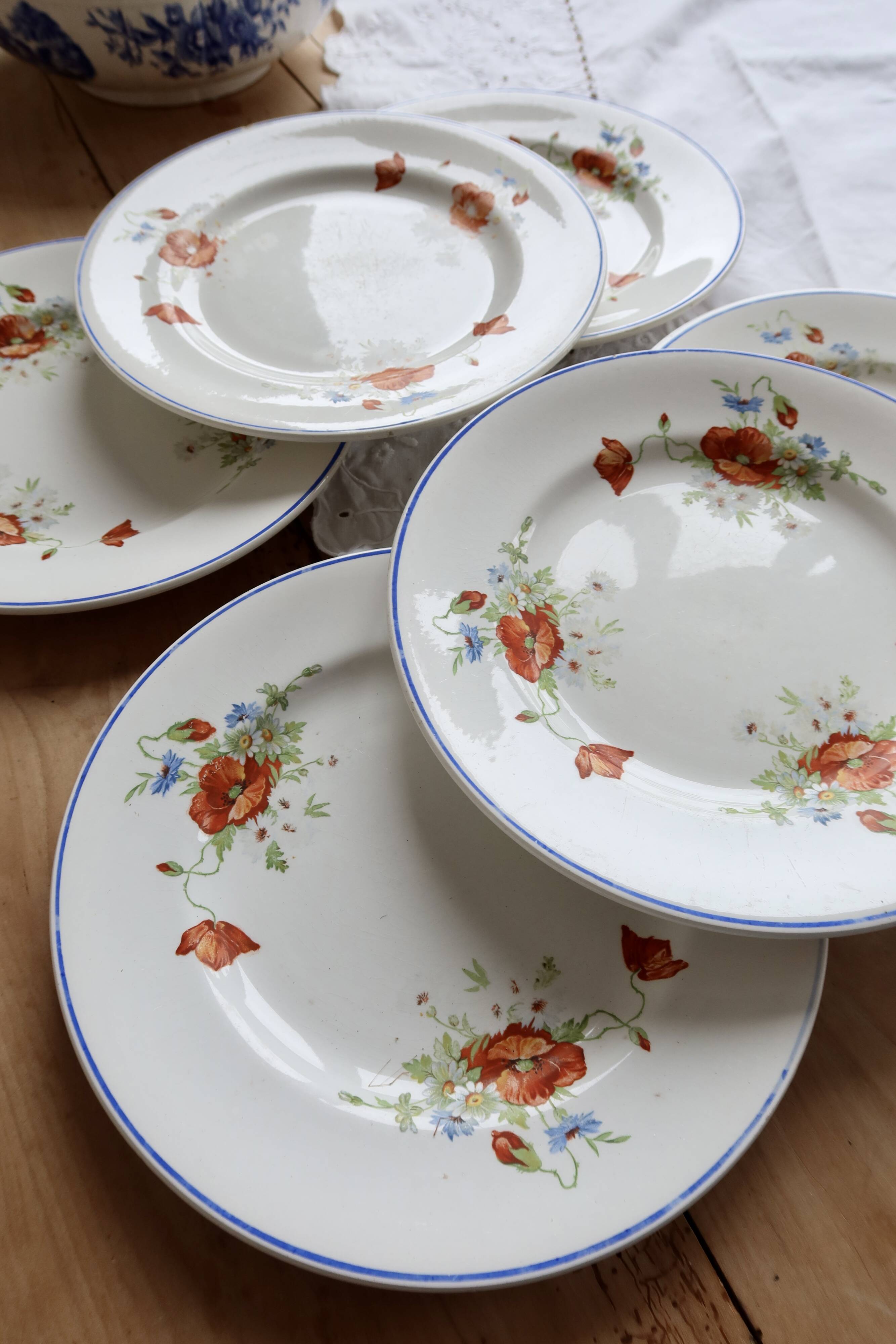 6 assiettes plates anciennes faience Salins - Modèle coquelicot