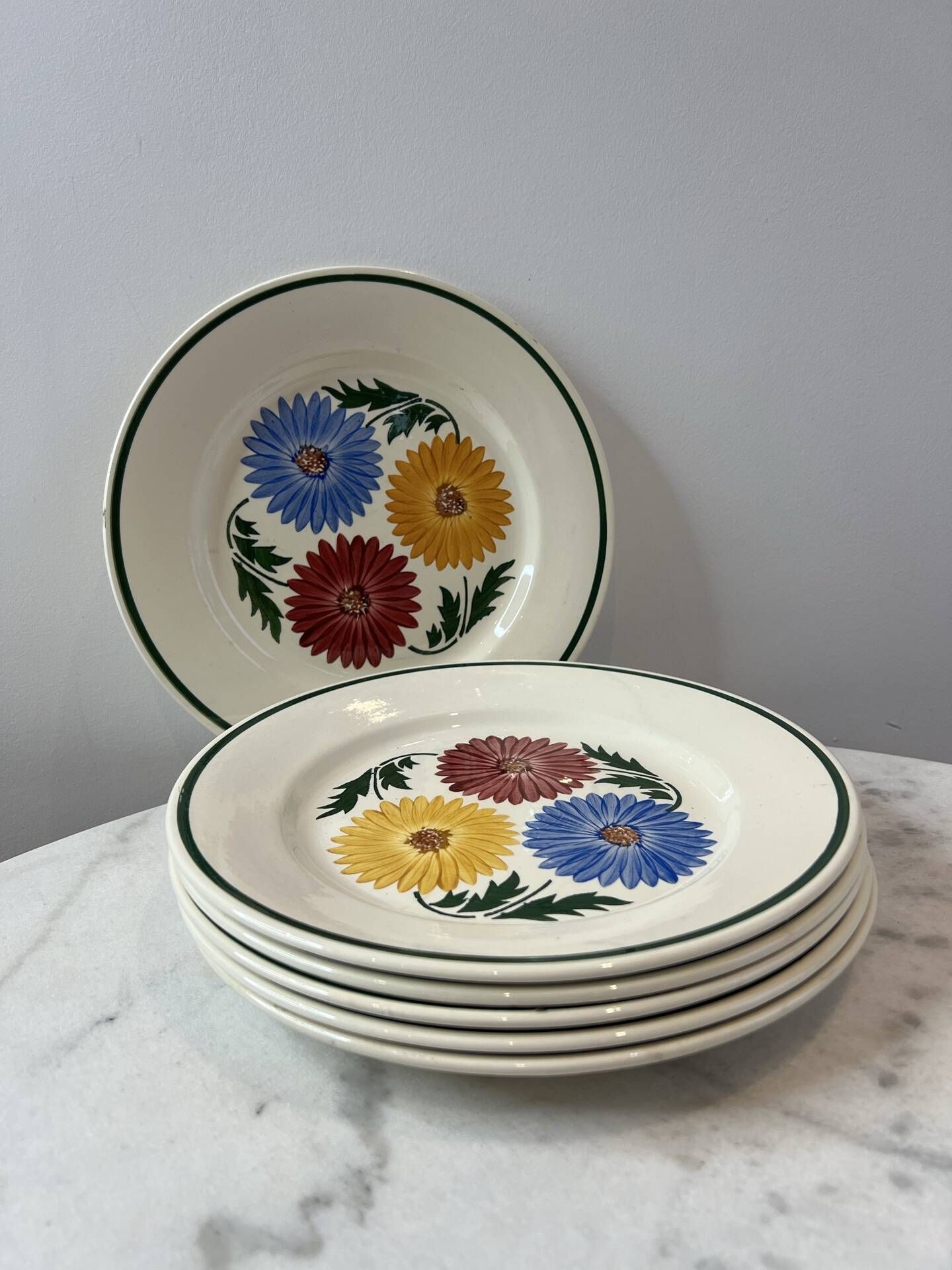 Set of 6 Chalons plates Digoin Sarreguemines with painted floral decoration.