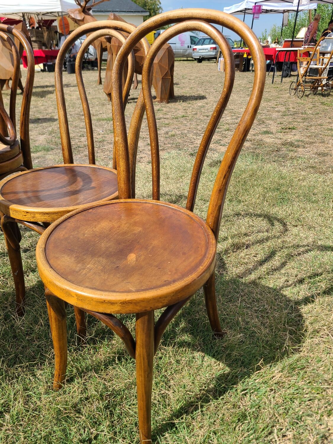 6 bentwood chairs early 20th