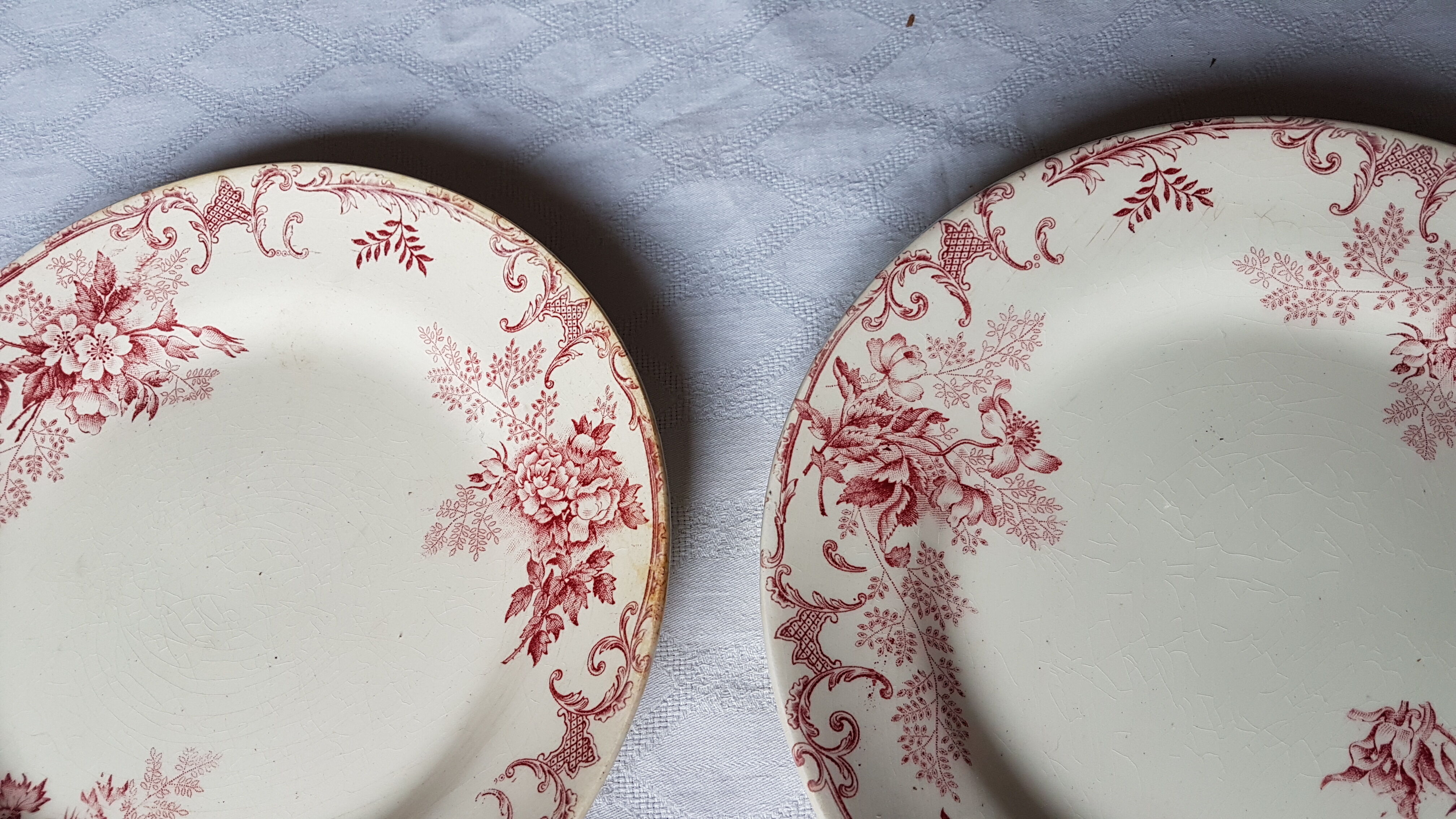 Paire d'assiettes en faïence à décor de fleurs