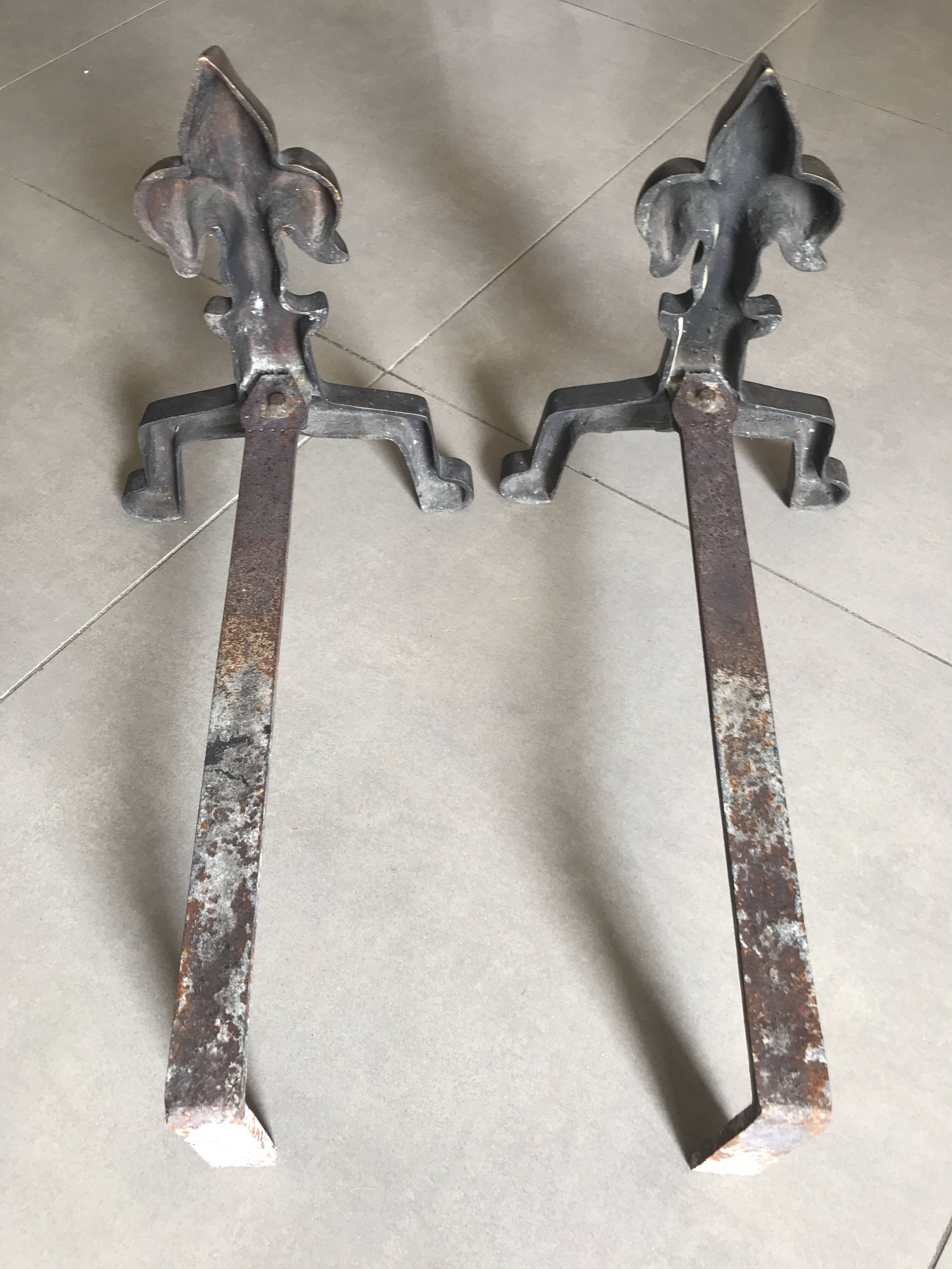 Pair of bronze fireplace firedogs with fleur-de-lys decor, art deco