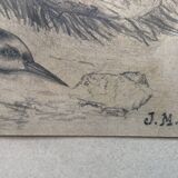 Drawing 1900 lead pencil still life hunting painting game trophy, signed jm, hunter