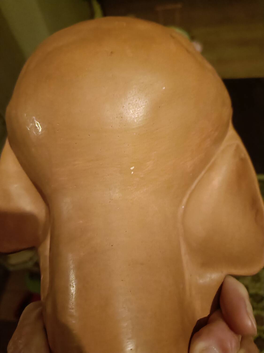 Young girl bust