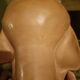 Young girl bust