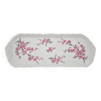 Cake dish