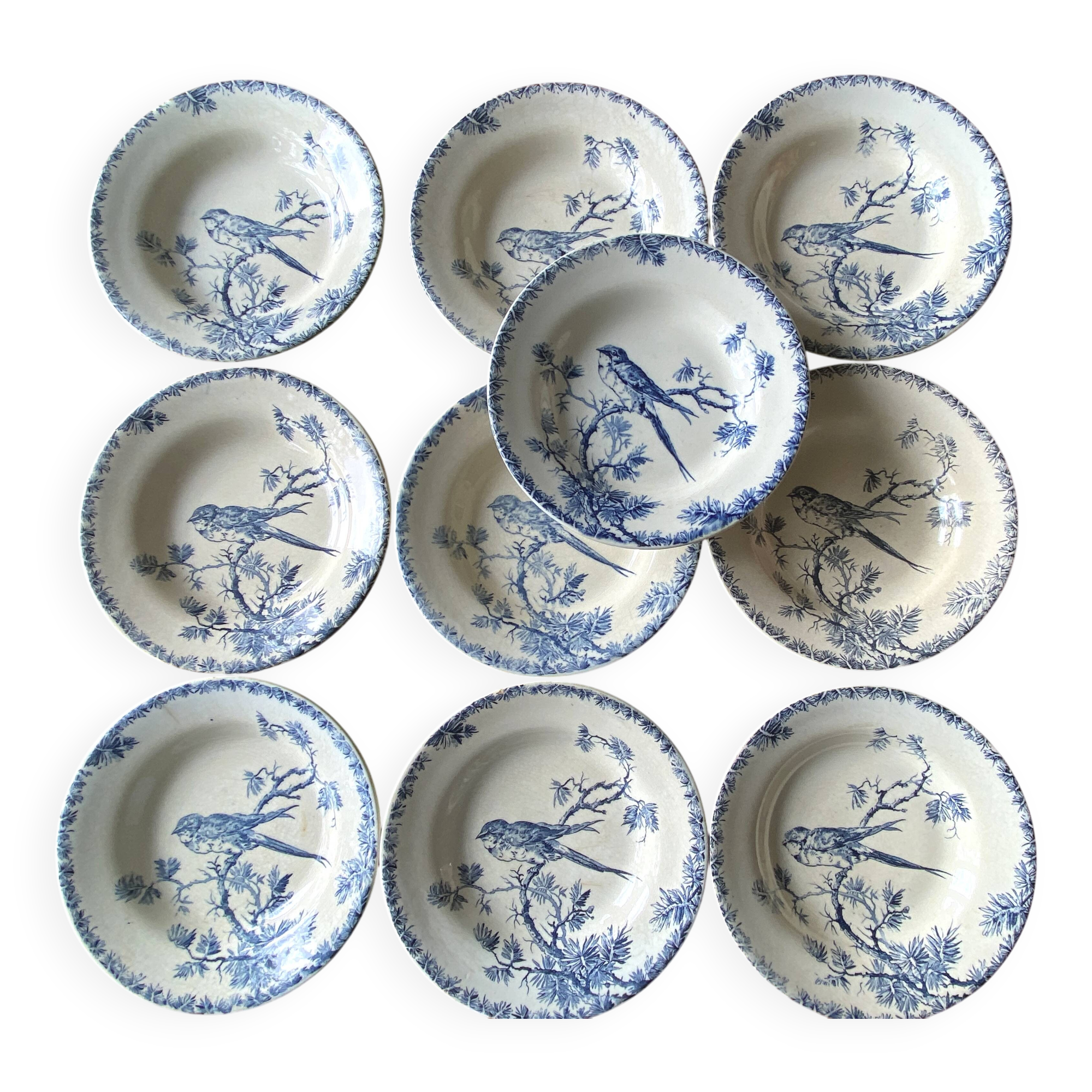 Set of 10 Gien Terre de Fer earthenware soup plates, Bird pattern, Proven