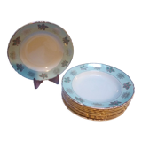 10 hollow plates Moulin des loups