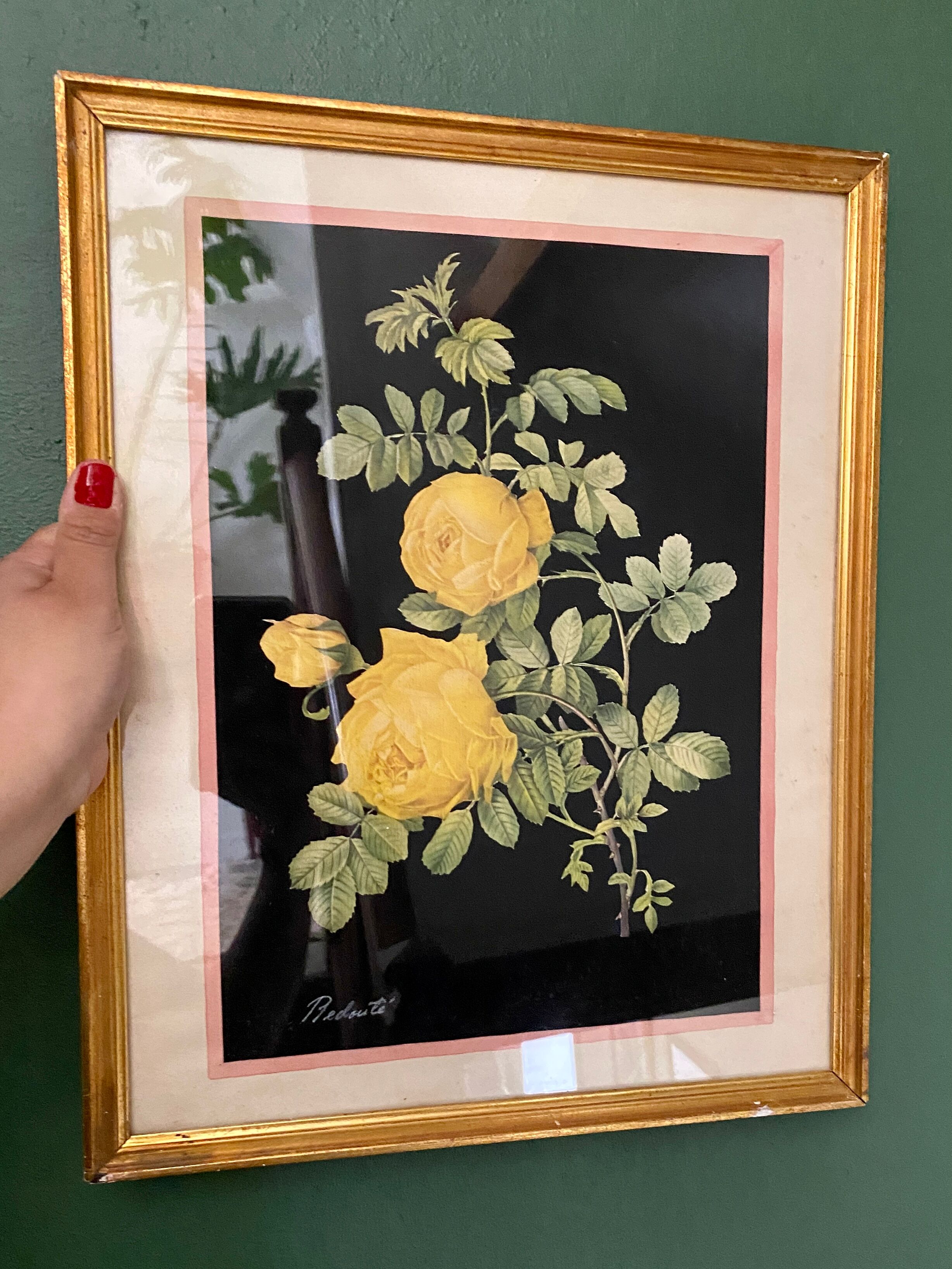 Framed poster vintage pinks yellow feared