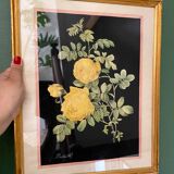 Framed poster vintage pinks yellow feared