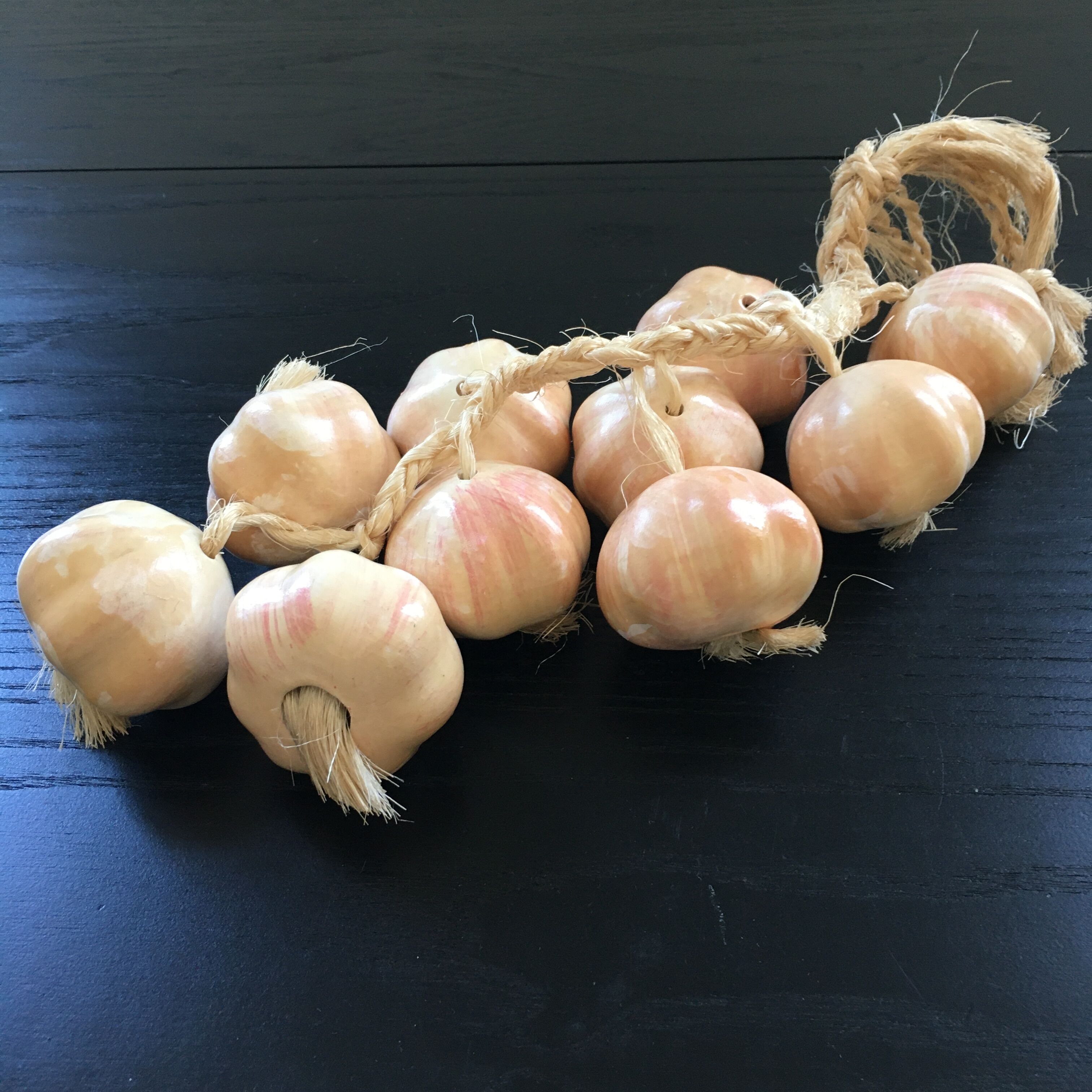 Bunch of garlic in slip