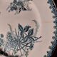 Lot 2 assiettes plates terre de fer
