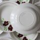 Set of 9 Salins hollow plates, Ninon pattern, French vintage, authentic, rare, countryside