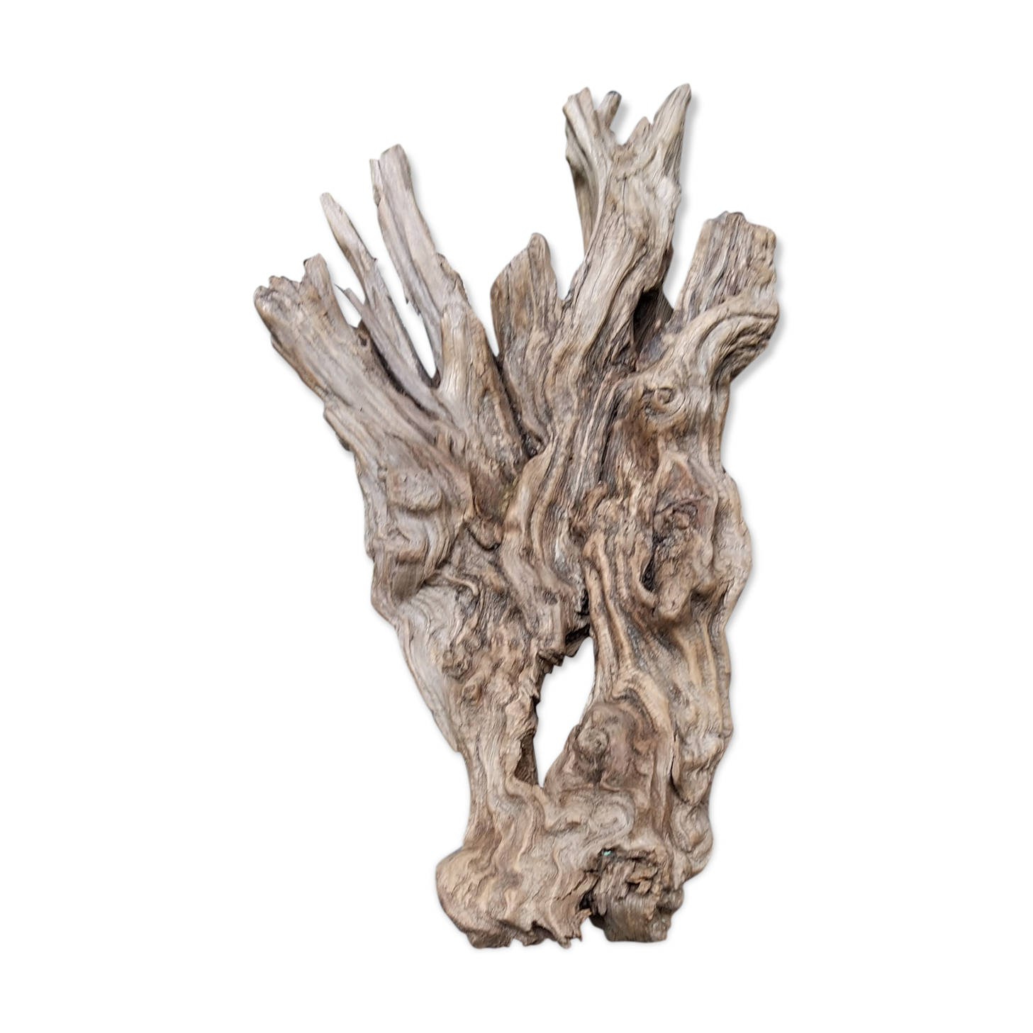 Natural wood sculptural coat rack