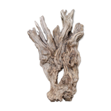 Natural wood sculptural coat rack