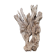 Natural wood sculptural coat rack