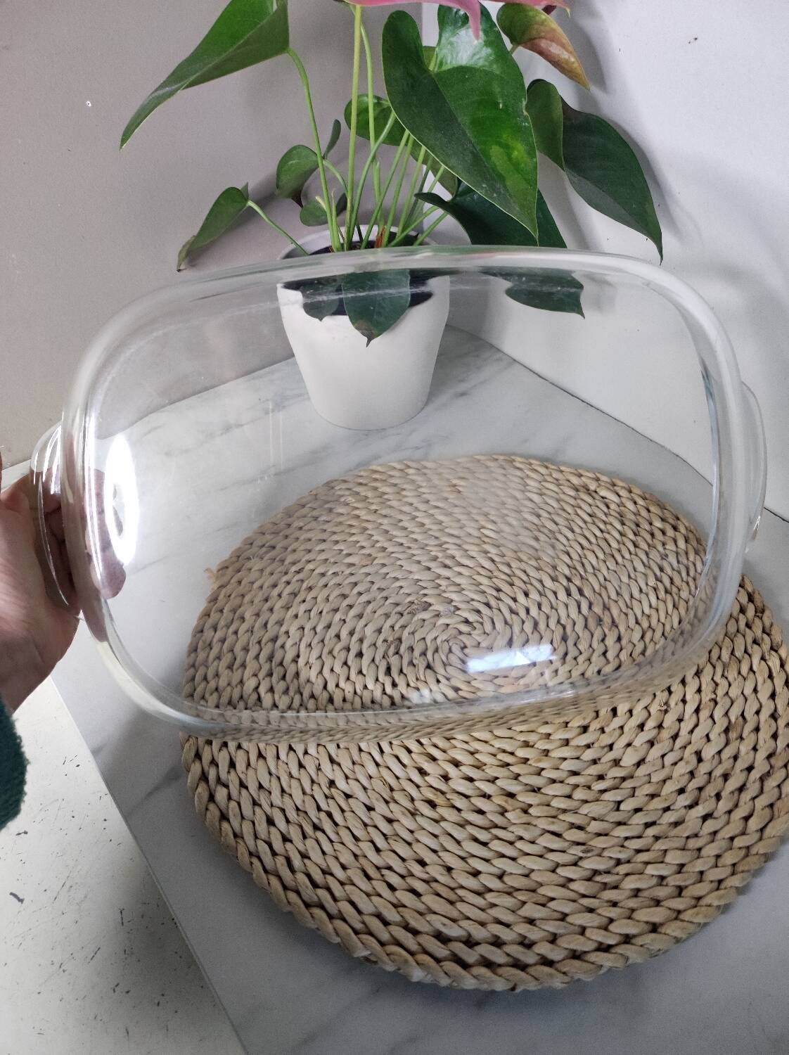Glass dish